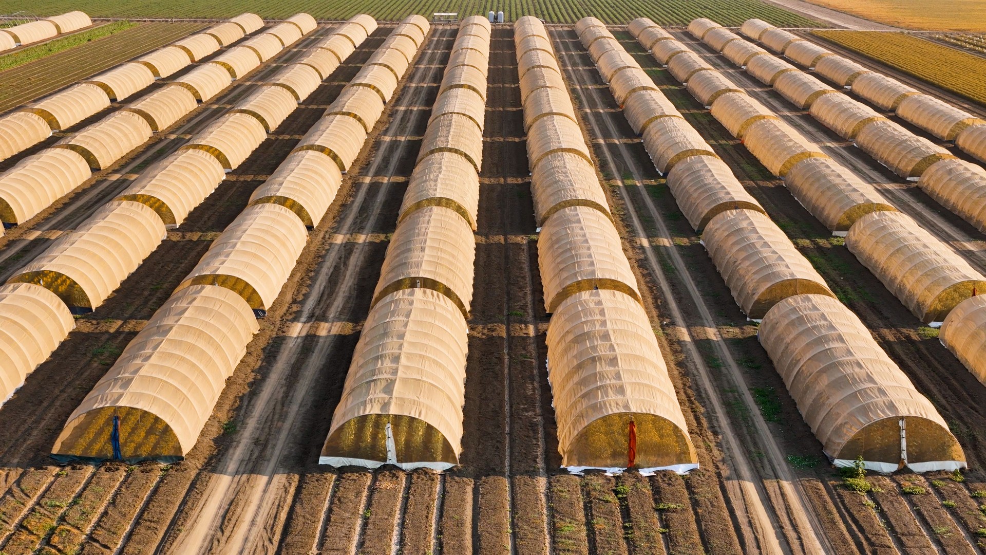 Aerial photo an Agricultural facility with greenhouses in Northern California as seen from above at sunset